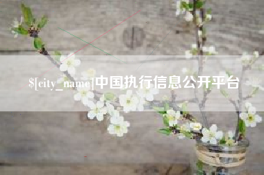 长垣中国执行信息公开平台