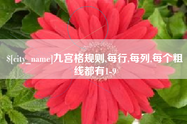 长垣九宫格规则,每行,每列,每个粗线都有1-9