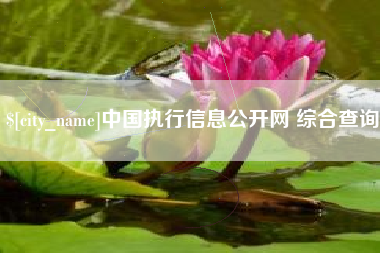 长垣中国执行信息公开网 综合查询