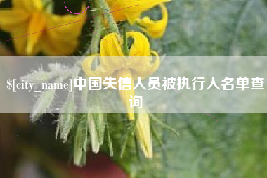 长垣中国失信人员被执行人名单查询