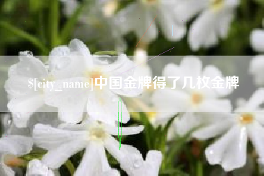 长垣中国金牌得了几枚金牌