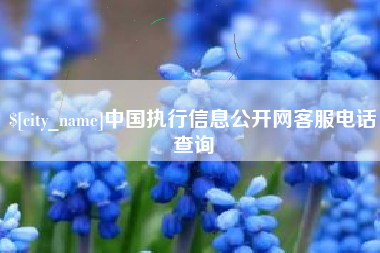 长垣中国执行信息公开网客服电话查询