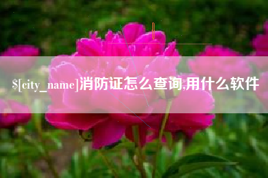 长垣消防证怎么查询,用什么软件