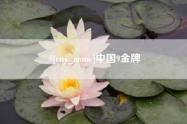 长垣中国9金牌