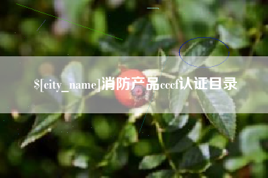 长垣消防产品cccf认证目录