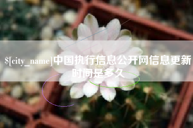 长垣中国执行信息公开网信息更新时间是多久