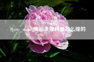 长垣奥运金牌榜是怎么排的