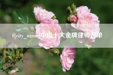 长垣中国十大金牌律师名单