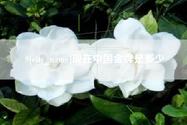 长垣现在中国金牌是多少