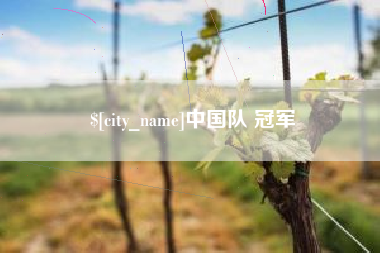 长垣中国队 冠军