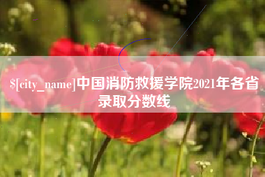 长垣中国消防救援学院2021年各省录取分数线