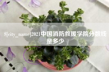 长垣2021中国消防救援学院分数线是多少