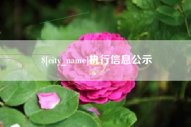 长垣执行信息公示