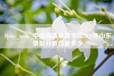 长垣中国消防救援学院2021年山东录取分数线是多少