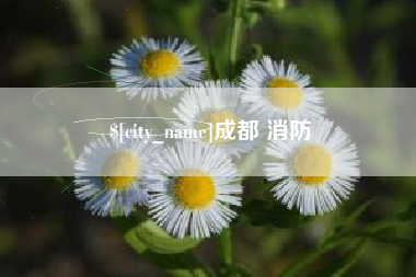 长垣成都 消防