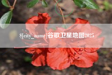 长垣谷歌卫星地图2025