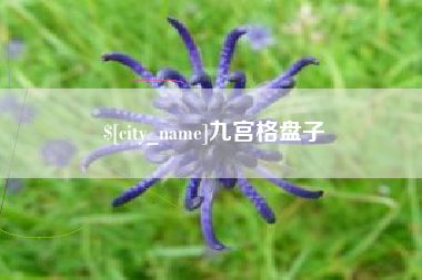 长垣九宫格盘子