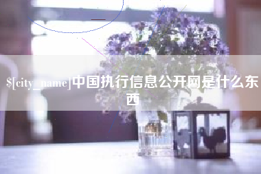 长垣中国执行信息公开网是什么东西