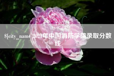 长垣2021年中国消防学院录取分数线