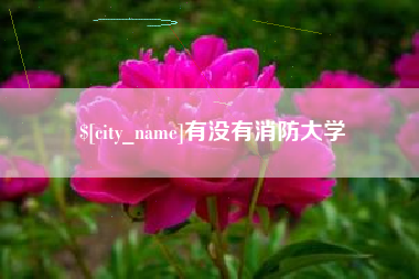 长垣有没有消防大学