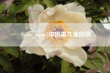 长垣中国第九金回放