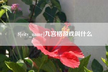 长垣九宫格游戏叫什么