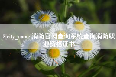 长垣消防官网查询系统查询消防职业资格证书