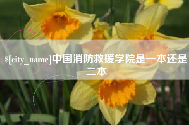 长垣中国消防救援学院是一本还是二本