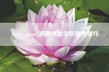 长垣消防救援学院报考条件