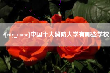 长垣中国十大消防大学有哪些学校