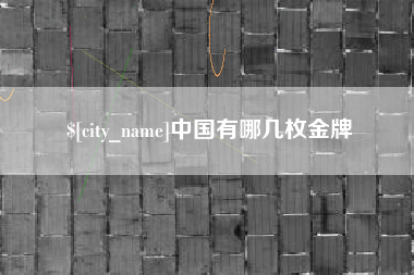 长垣中国有哪几枚金牌