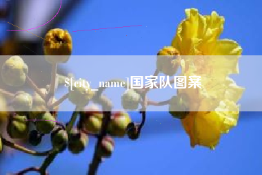 长垣国家队图案