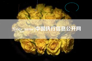 长垣中国执行信息公开网
