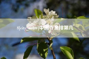 长垣中国夺金排第几