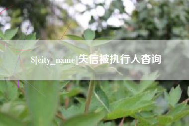 长垣失信被执行人杳询