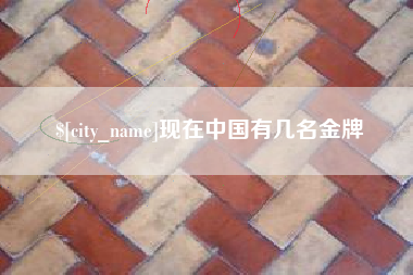 长垣现在中国有几名金牌