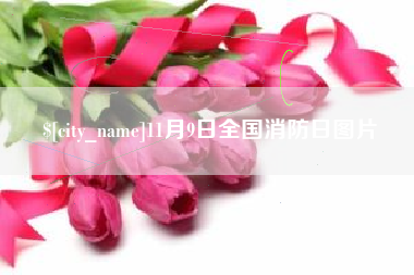 长垣11月9日全国消防日图片