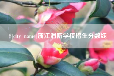 长垣浙江消防学校招生分数线