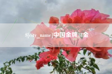 长垣中国金牌18金