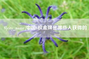 长垣中国6枚金牌是哪些人获得的