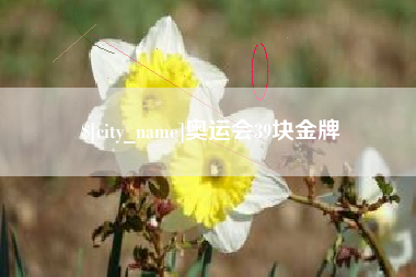 长垣奥运会39块金牌