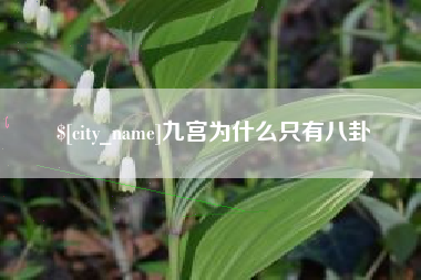 长垣九宫为什么只有八卦