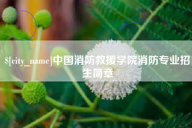 长垣中国消防救援学院消防专业招生简章