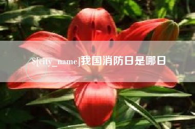 长垣我国消防日是哪日