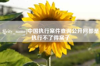 长垣中国执行案件查询公开网都是执行不了得案子