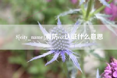 长垣消防ccc认证什么意思