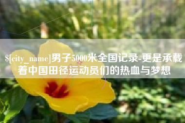 长垣男子5000米全国记录-更是承载着中国田径运动员们的热血与梦想