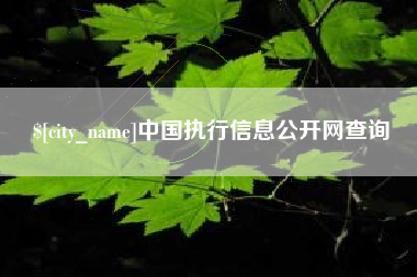 长垣中国执行信息公开网查询