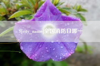 长垣全国消防日哪一