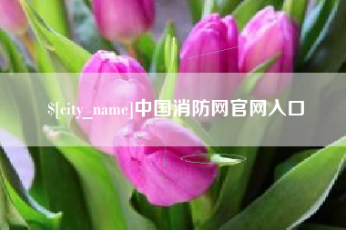 长垣中国消防网官网入口